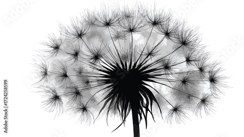 Dandelion Vector Illustration in Black and White