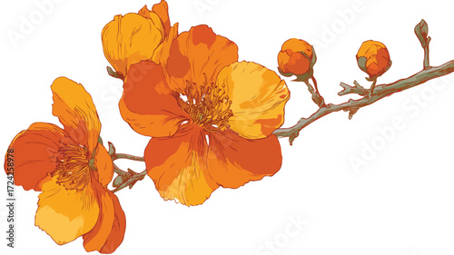 Bright Orange Flower Blossom on Twig with Whole Orange Aesthetic
