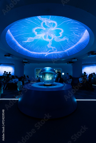 新江ノ島水族館 クラゲファンタジーホールの幻想的な展示