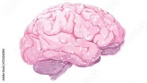 Youthful Brain Health Care for Teenagers Concept