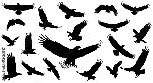 Various black silhouettes of eagles in flight, showcasing different postures and angles.
