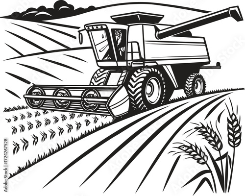 Combine harvester working in a golden wheat field at sunset
