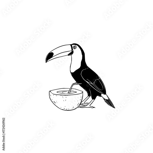 A black and white illustration of a toucan drinking from a coconut with a straw on a white background