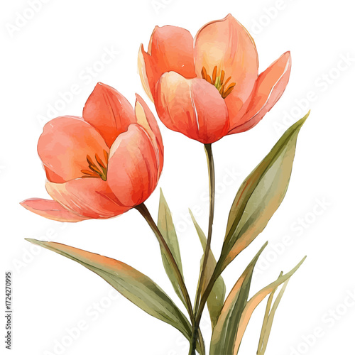 Indie Poster, watercolor painting vector, isolated on a white background.