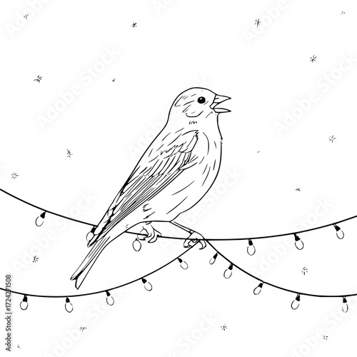 Illustration of a bird perched on a string of lights against a background of star shapes in black and white