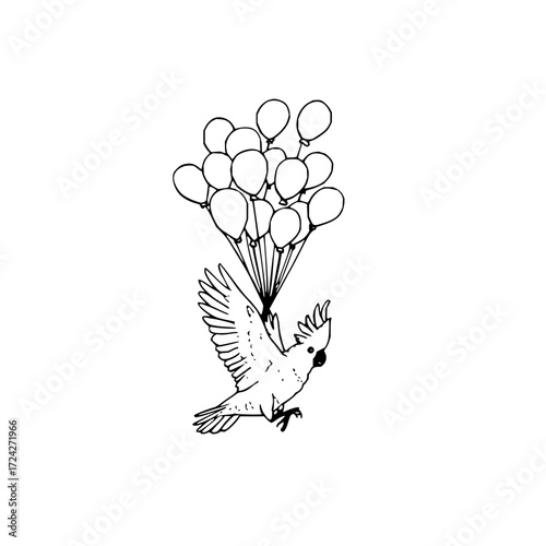 Illustration of a cockatoo flying while holding a bunch of balloons in a black and white drawing