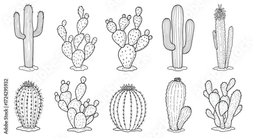 Delightful cactus collection ready for coloring books, invitations, or botanical themed designs with natural desert vibes, ideal for southwest style projects