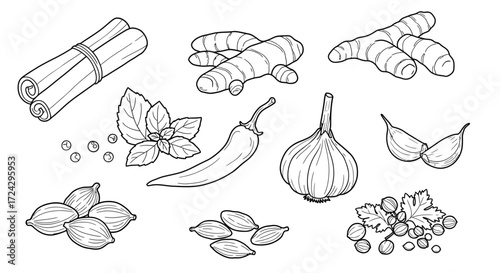 Spice up your designs with this beautiful culinary herbs and spices collection! Perfect for adding flavor and zest to any creative project, originally vector