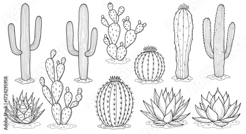 Charming set of various hand-drawn cactus plants, ideal for creative projects, coloring books, and botanical designs, perfect for adding a touch of desert charm