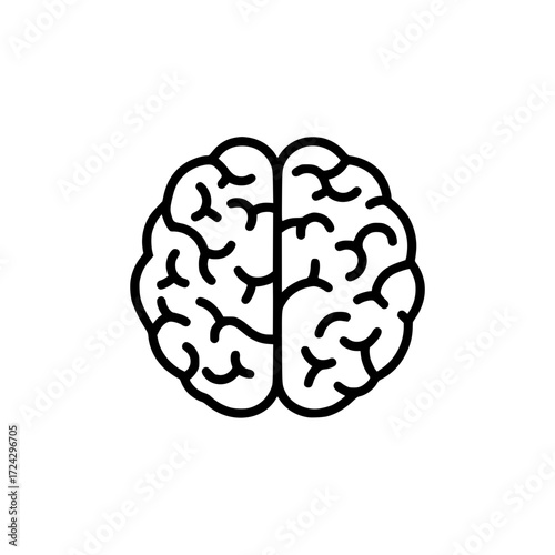 human brain representing intelligence, thinking, learning, and cognitive science.