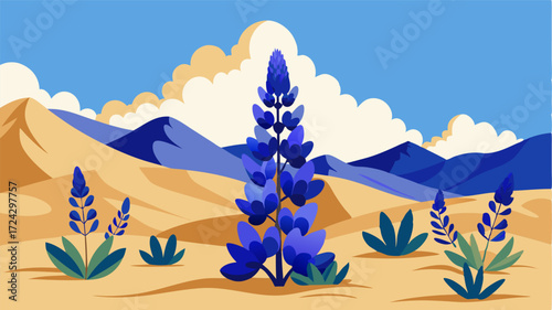 In the midst of the desert a vibrant patch of blue and white lupine blooms stands out against the neutral tones.
