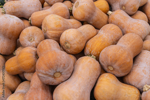Fresh Honey Nut Squash at Farm Market