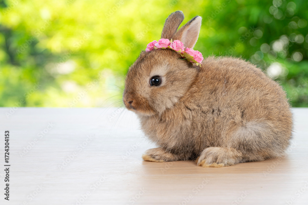 Obraz premium Adorable baby rabbit bunny with white red paper roses on head sitting on wood green bokeh background. Newborn rabbit bunny with blossom flower on hair playful on wooden. Easter animal pet concept.