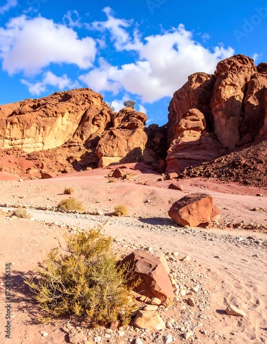 Desert canyon landscape under a vibrant sky