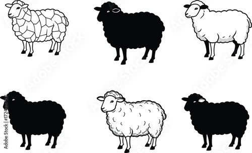 Vector illustration of different sheep silhouettes and wool patterns, black and white farm animals, livestock drawing for agriculture and textile design