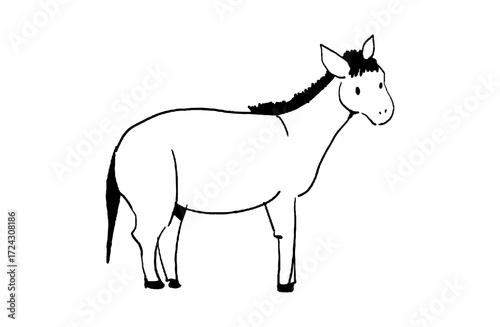 Hand drawn horse vector illustration, simple line drawing, farm animal isolated on white background