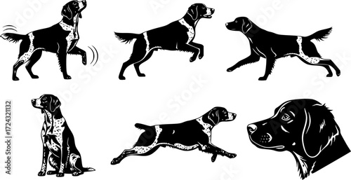 Brittany spaniel silhouette, Brittany dog clipart, Brittany dog, Dog silhouettes, Brittany dog icon.