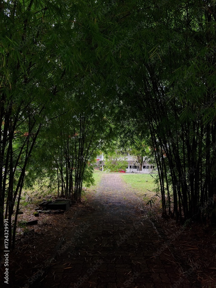 Fototapeta premium path in the park