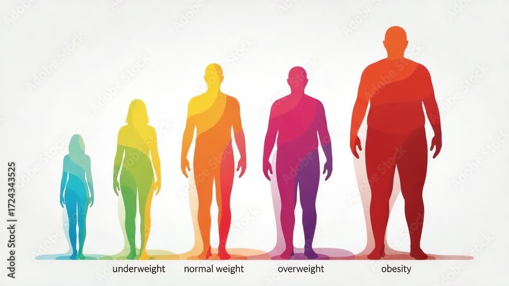 Human Body Mass Index Chart Showing Underweight to Obesity Range Stock ...