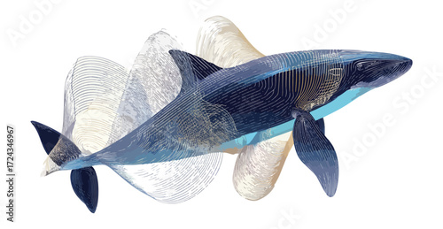 Whale artistic illustration