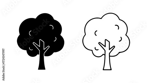 Tree Silhouette and Outline Natures Dual Representation.