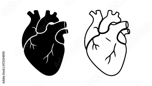 Two Anatomical Heart Illustrations One Solid Black One Outline.