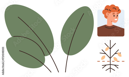 Large green leaves, smiling person, and plant development diagram symbolize agriculture, farming, sustainability, eco-conscious living, personal growth, nature conservation, and green practices