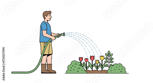 Illustration depicting a gardener tending to a flower bed filled with tulips using a garden hose showing a tranquil scene