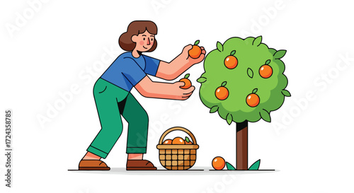 Female farmer picking fresh oranges from a tree, placing them into a wicker basket for a bountiful harvest in a vibrant grove