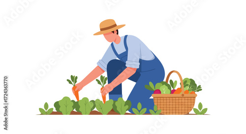 Illustrated farmer harvesting carrots in garden with basket full of fresh produce ready for market or family consumption