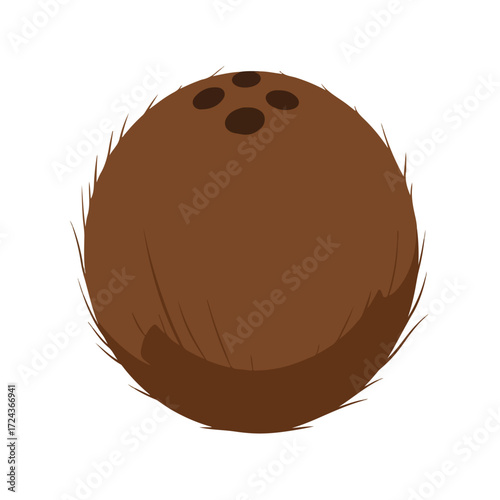 Illustrated coconut with fuzzy husk and three dark eyes on a white background