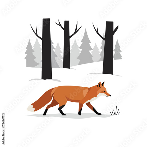 Fox walks in snowy woods, bare branches and pine trees behind it