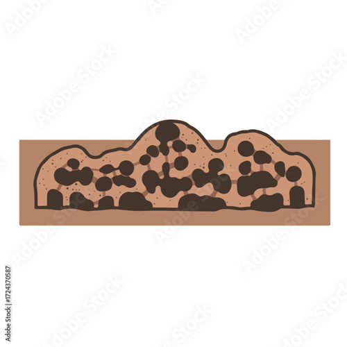 Ant farm cross-section illustration with tunnels and chambers