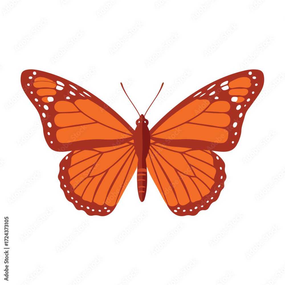 Obraz premium Flat vector monarch butterfly illustration with orange wings and white spots