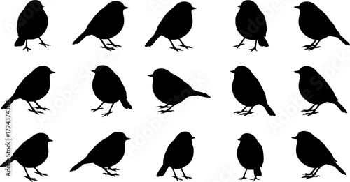 Set of Robin Birds Silhouette
