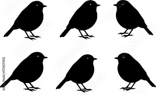 Set of Robin Birds Silhouette
