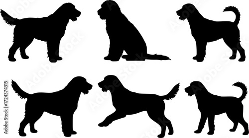 Set of Labradoodle Dogs Silhouette
