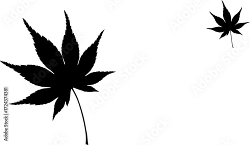 Set Japanese Maple Leaf Silhouette
