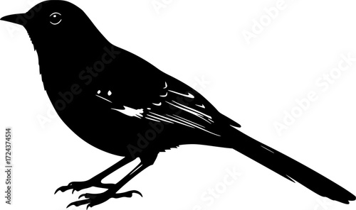 MOCKINGBIRD SILHOUETTE ON WHITE BACKGROUND
