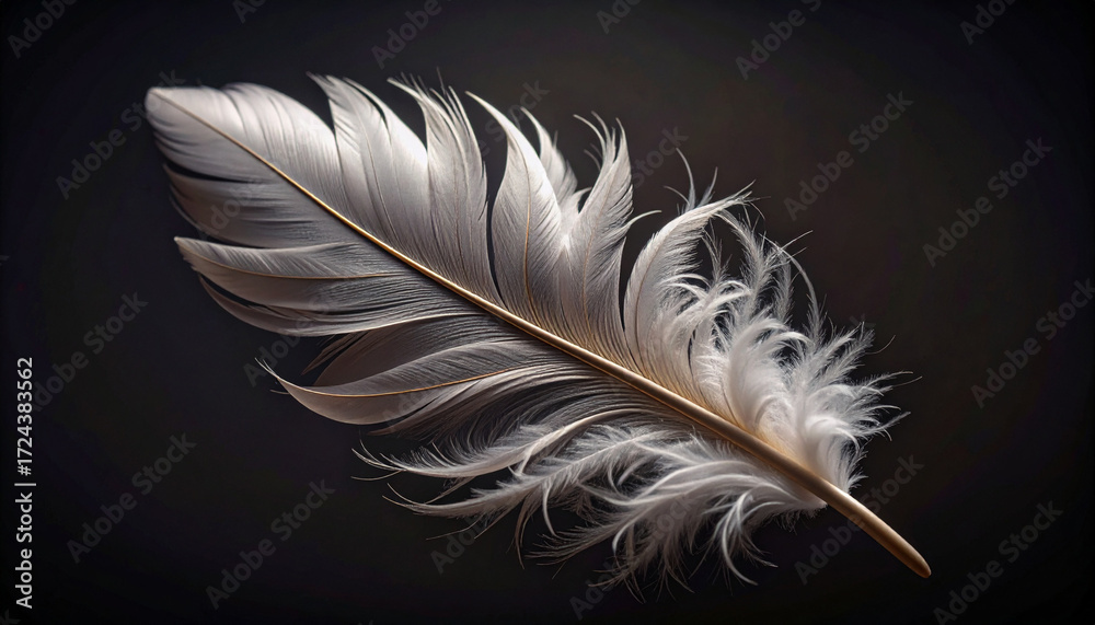 Obraz premium Macro Close Up Soft Feather Texture Shadows. Mental Mindfulness Concept. Generated Image
