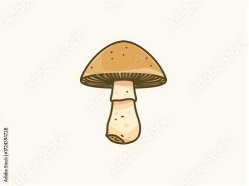 boletus edulis mushroom
