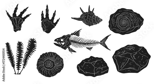 Black and white vector illustration of prehistoric fossils and flora in silhouette style