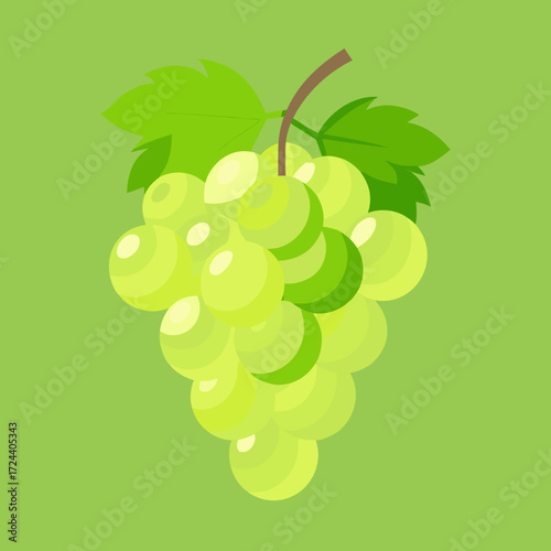 Bunch of crisp green grapes with a delicate bloom, on a soft-focus green background. Natural side lighting, translucent grapes, vine attached, fresh fruit concept, healthy snack.