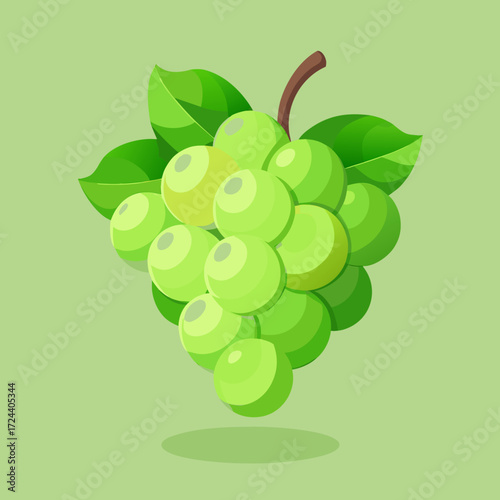 Bunch of crisp green grapes with a delicate bloom, on a soft-focus green background. Natural side lighting, translucent grapes, vine attached, fresh fruit concept, healthy snack.