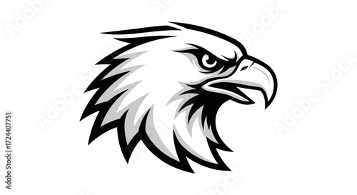 eagle head vector illustration