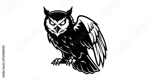 eagle owl vector illustration