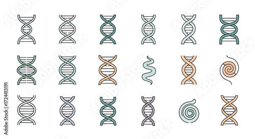 Collection of various DNA double helix graphic representations in different colors and styles.