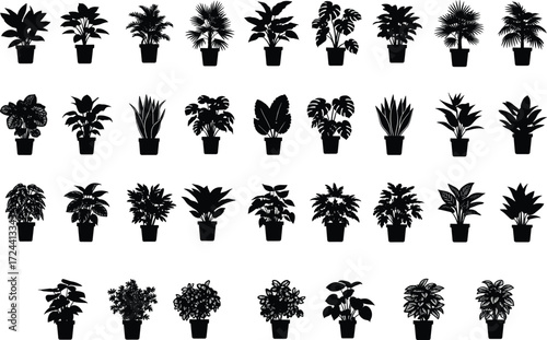 Houseplants silhouette vector collection, various potted indoor plants black and white illustration set for graphic design.