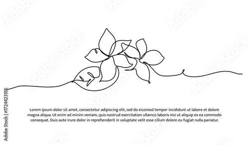 One line of frangipani flowers on the beach. Abstract minimal continuous line.
