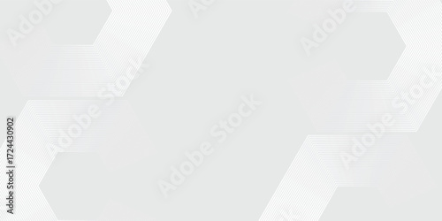 Hexagon white gray wave light technology texture background. Abstract big data digital concept simple. vector ilustration.